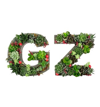 harf saksıda sukulent