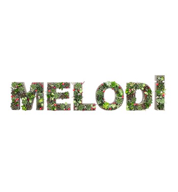 özel sukulent tasarım