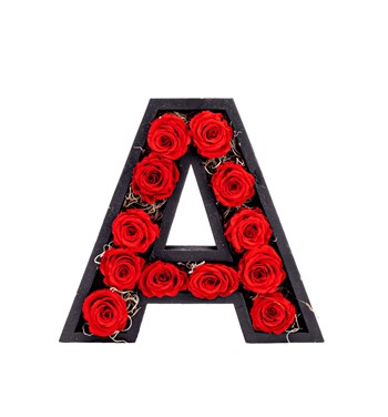 saksıda gül tasarım