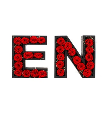 ikili solmayan kırmızı gül tasarım