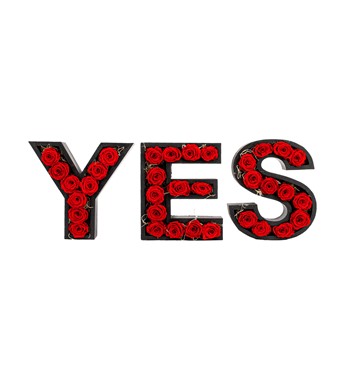 3'lü kırmızı gül tasarım