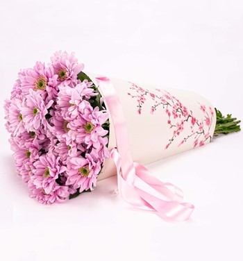 Sakura Pembe Krizantem