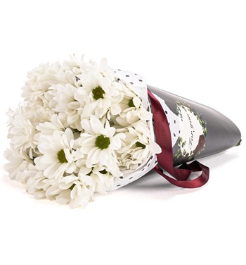 beyaz krizantem tasarım