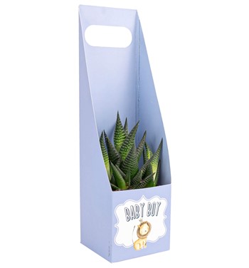 zebra tasarım çiçek