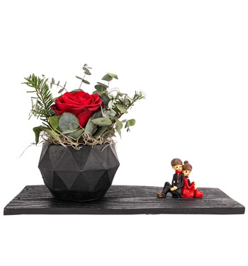 kırmızı gül tasarım