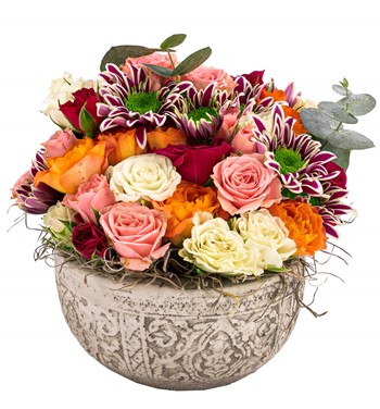 mini gül tasarım çeşitleri