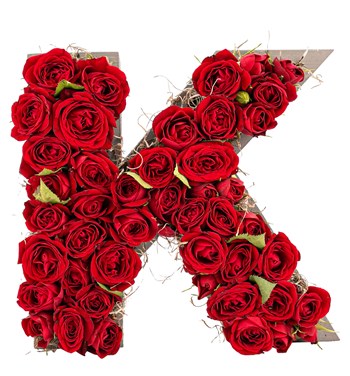 özel harf saksıda kırmızı mini gül