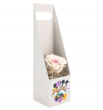 solmayan gül çeşitleri