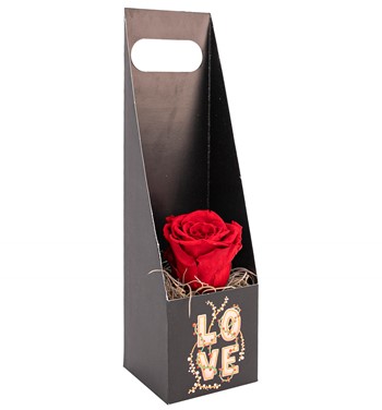 solmayan kırmızı gül fiyatları