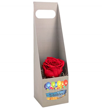 solmayan gül çeşitleri