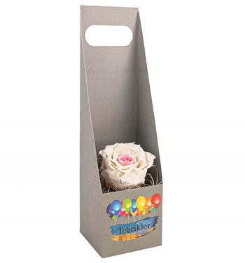 solmayan gül çiçeği