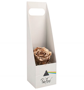 solmayan gül sipariş