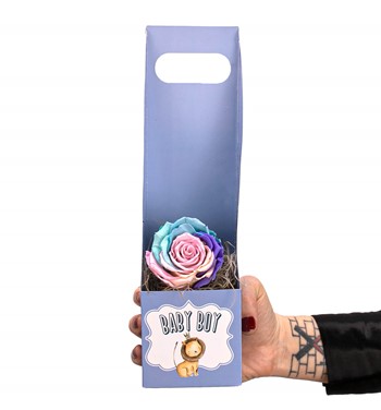 solmayan gül çeşitleri