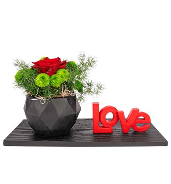 tekli kırmızı gül 