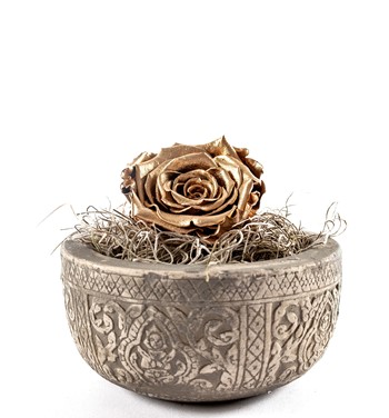 solmayan gül fiyatlar