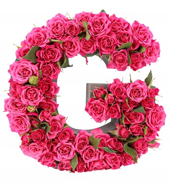 özel harf saksıda fuşya gül 