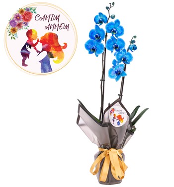 Canım Annem Baskılı Mavi Orkide Tasarım