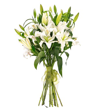 10 dal beyaz lilyum çiçeği