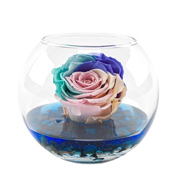 solmayan gül fiyatları