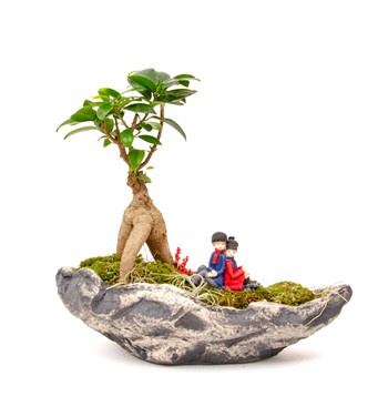 sırt sırta bonsai çiçek