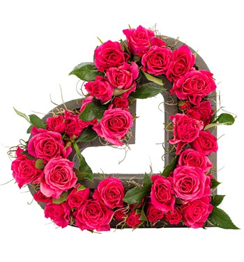 kalp saksıda fuşya tasarım 