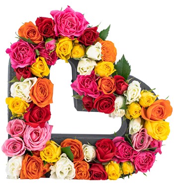 renkli mini gül çiçekler